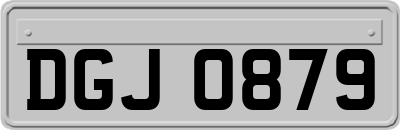 DGJ0879