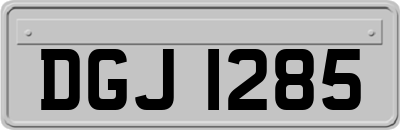 DGJ1285
