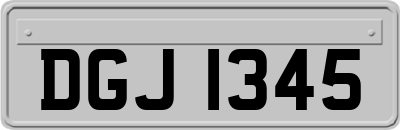 DGJ1345