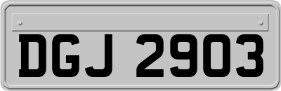 DGJ2903