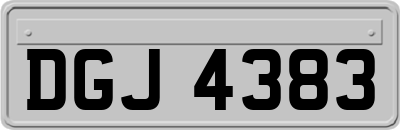 DGJ4383