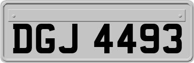 DGJ4493