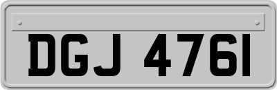 DGJ4761