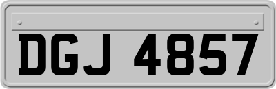 DGJ4857