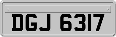 DGJ6317