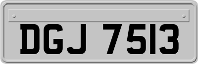DGJ7513