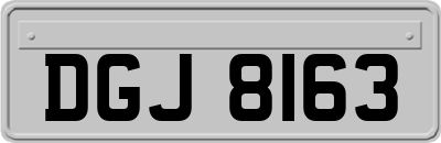DGJ8163