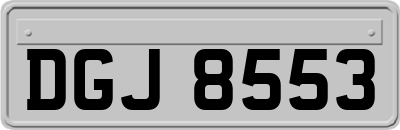 DGJ8553