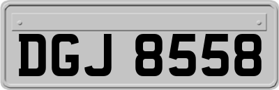 DGJ8558