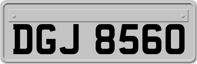 DGJ8560