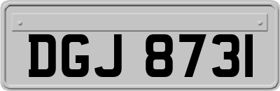 DGJ8731