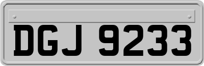 DGJ9233
