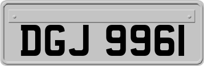DGJ9961