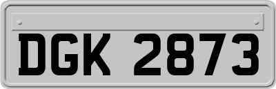 DGK2873