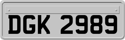 DGK2989