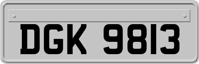 DGK9813