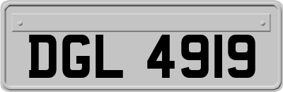 DGL4919