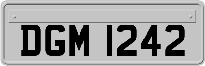 DGM1242