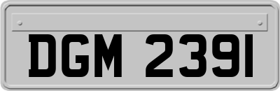 DGM2391