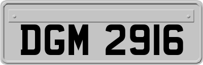 DGM2916