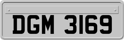 DGM3169