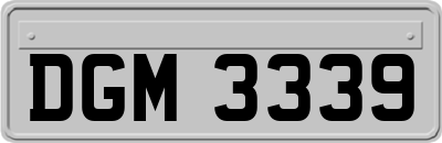 DGM3339