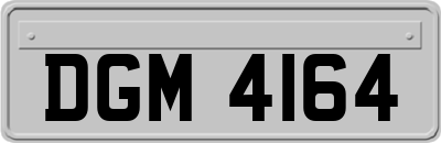 DGM4164