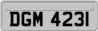 DGM4231