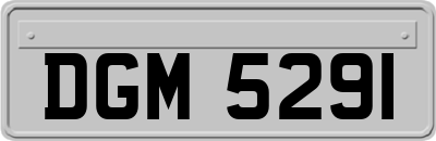 DGM5291