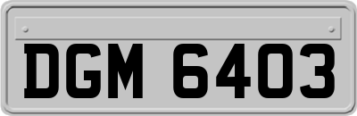 DGM6403