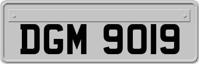 DGM9019