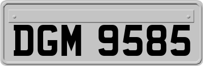 DGM9585