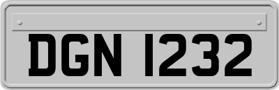 DGN1232