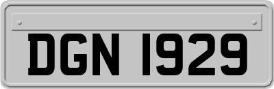DGN1929