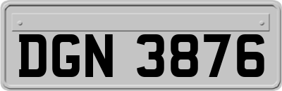DGN3876