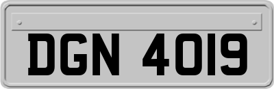 DGN4019