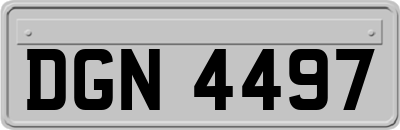 DGN4497