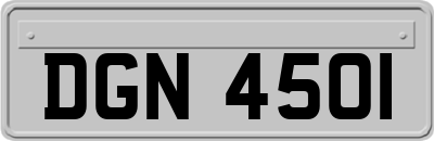 DGN4501