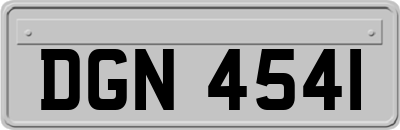 DGN4541
