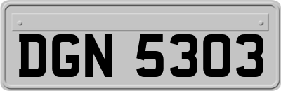 DGN5303