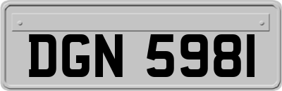 DGN5981