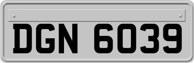 DGN6039