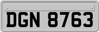 DGN8763