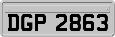 DGP2863