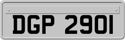 DGP2901