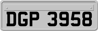 DGP3958