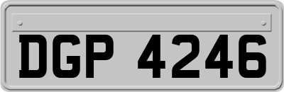 DGP4246