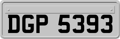 DGP5393