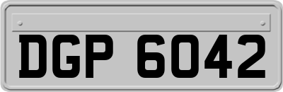 DGP6042