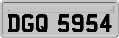 DGQ5954